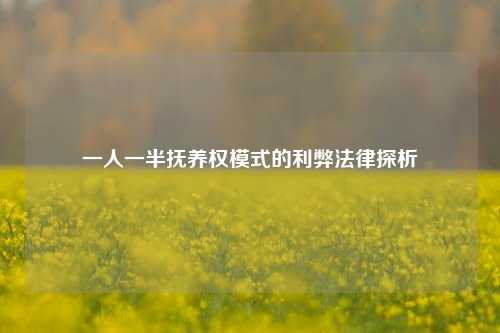 一人一半抚养权模式的利弊法律探析